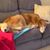 Randy Tentschert's profile image