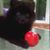 Gail Burnette's profile image