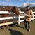 Donald Doud's profile image