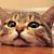 Elisabeth Huson Goodman's profile image