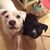 Lisa Namaste Smith's profile image