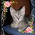 Penny Solum's profile image