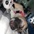 Shelbee Reed's profile image