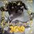 Madea Papillon's profile image