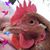 Darcey Byrne's profile image