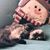 Abigail Hoover's profile image