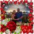 Mary Martel Angel's profile image