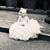 Linette Meulemans's profile image