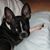 Carol Leasure's profile image