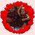 Virginia Benson's profile image