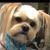 Barbara Reese-McFadden Allen's profile image
