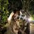 Monica Salamy's profile image