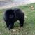 Janie Douglas's profile image