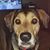Joquita Skeels's profile image