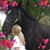 Donna Petrucci's profile image