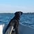 Edward C Marsolek Jr's profile image
