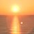 Nora Deweese's profile image