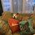 Kathy Van Der Harst's profile image