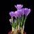 Dori Moore's profile image