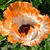 Jim Brage's profile image