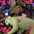 Janet Higgason's profile image