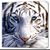 Lisa Howard Cotsopoulos's profile image