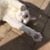 Marie-Claude Bach's profile image