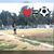 Maxi Moreno's profile image