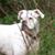 Margaret Dixon's profile image