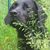 Jutta Lammert's profile image