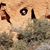 David Nalley's profile image