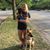 Amber Buskard's profile image