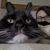 Francoise Ruette's profile image
