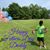Amanda Victoria Jones's profile image