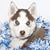 Penny Gray's profile image