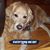 Janice Campbell's profile image