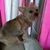 Jose Rivera's profile image