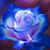 Jody Byrum's profile image
