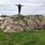 Linda Russell McGarvey's profile image