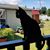 Marie McNealey's profile image