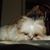 Alvin Tosh's profile image