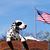 Terri Rutledge's profile image