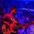 Omor Faruk Emon's profile image