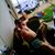 Vin Chiaramonte's profile image
