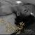 خالد خضر المحمد's profile image