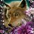 Spring Bockoven's profile image