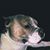 Selina Valdez's profile image