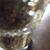 Rita Chapagai's profile image