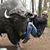 Todd LaBonte's profile image