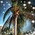 Shelley Wundrock's profile image